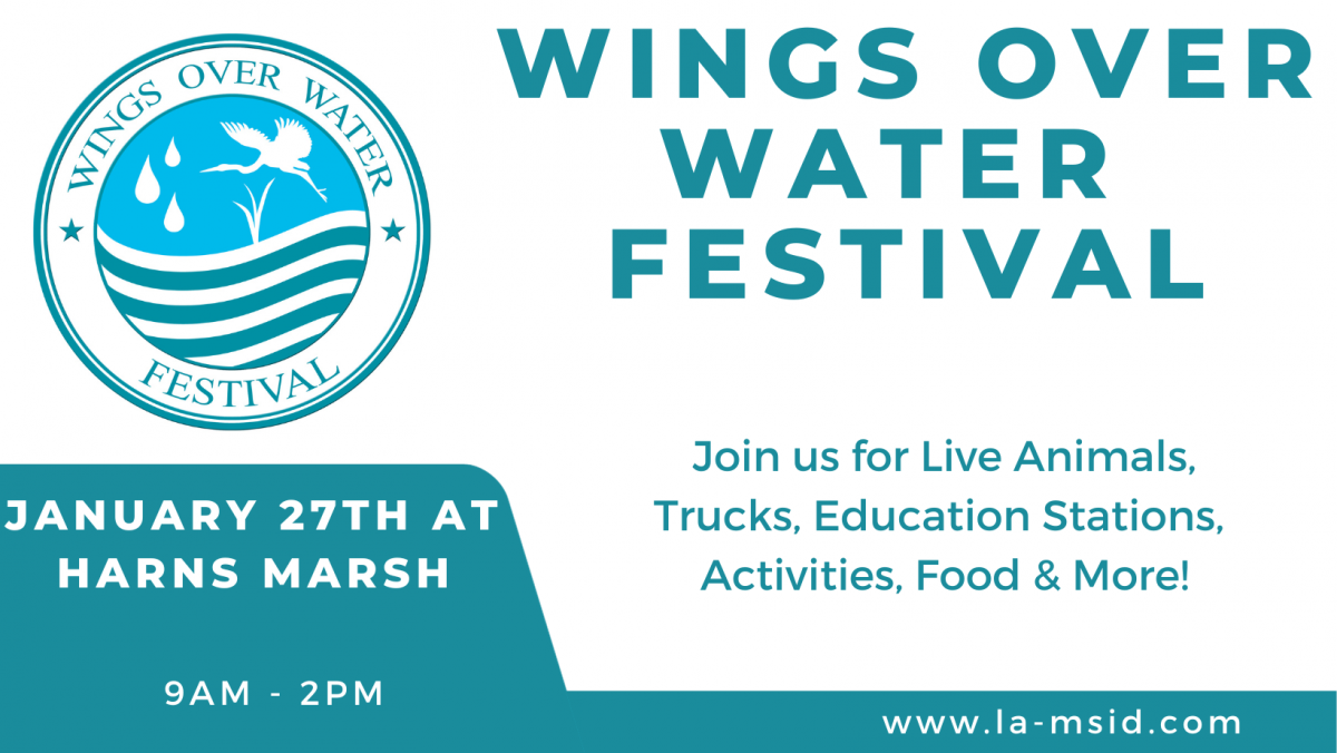 Wings Over Water Festival Flyer: Event is occurring January 27th from 9am-2pm.